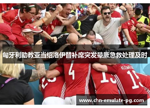 匈牙利助教亚当绍洛伊替补席突发晕厥急救处理及时