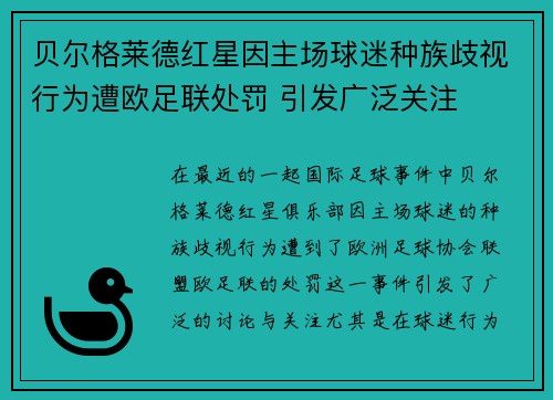 贝尔格莱德红星因主场球迷种族歧视行为遭欧足联处罚 引发广泛关注 贝尔格莱德红星因主场球迷种族歧视行为遭欧足联处罚 引发广泛关注